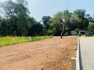 කැකනදුරෙන් ප්‍රධාන මර්ගයෙන් ඉඩමක්