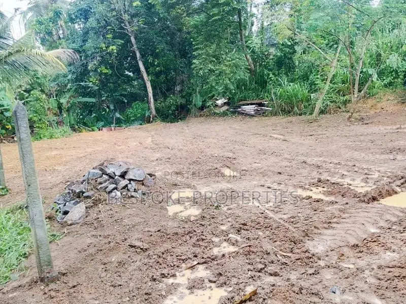 Land for Sale in Wanaguru Mawatha Hokandara