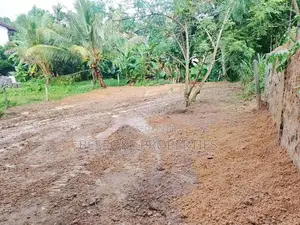 Land for Sale in Wanaguru Mawatha Hokandara