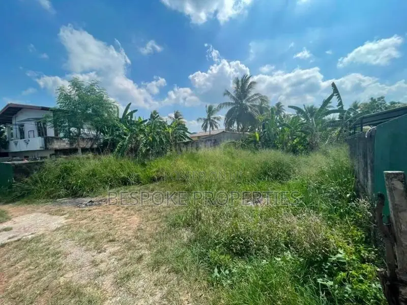 Land for Sale in Piliyandala Road Kesbawa
