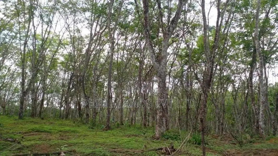 අහංගම බිම් කොටස්