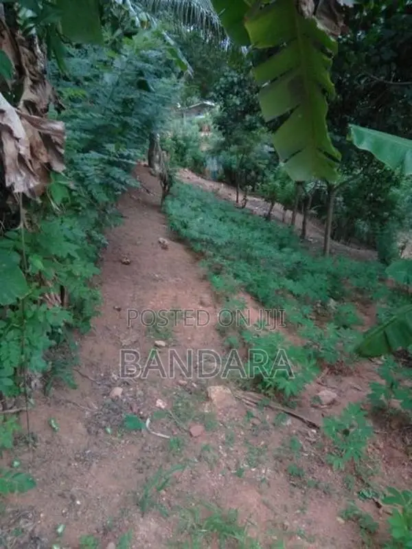 බලංගොඩ අගනා ඉඩම විකිණීමට