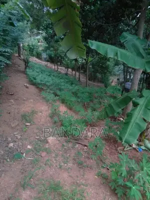 බලංගොඩ අගනා ඉඩම විකිණීමට