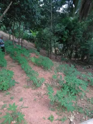 බලංගොඩ අගනා ඉඩම විකිණීමට