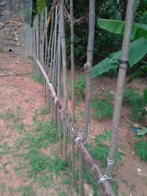 බලංගොඩ අගනා ඉඩම විකිණීමට