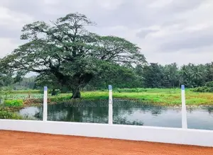 Melsiripura Land Sale | වැව් තාවුල්ලකට මුහුණලා සුපිරි බිම් කොටස් u04