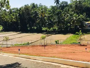දෙවිනුවරින් අගනා ඉඩම්