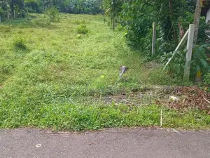Land for Sale Homagama