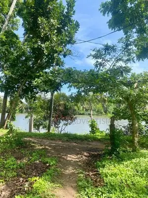 WELIGAMA RIVER SIDE 25 PERCHES LAND FOR SALE