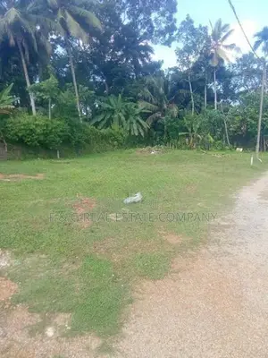 හොරණ ,මොරගහහේන Land for Sale