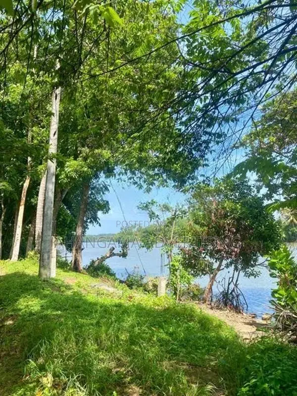 WELIGAMA RIVER SIDE 25 PERCHES LAND FOR SALE