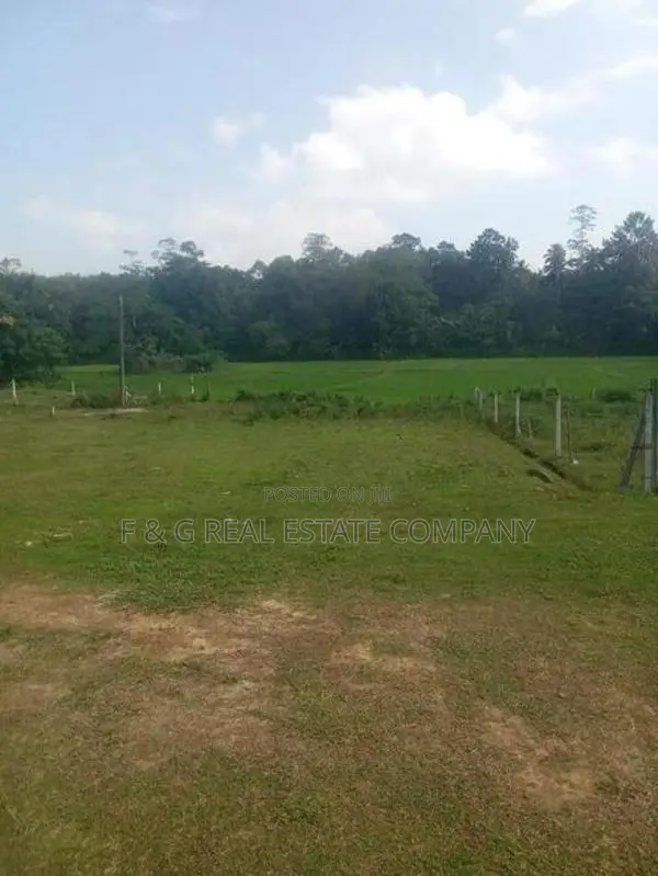 හොරණ ,මොරගහහේන Land for Sale