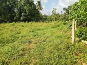 Land for Sale Homagama