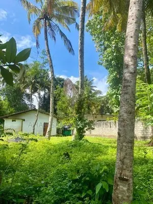 WELIGAMA RIVER SIDE 25 PERCHES LAND FOR SALE