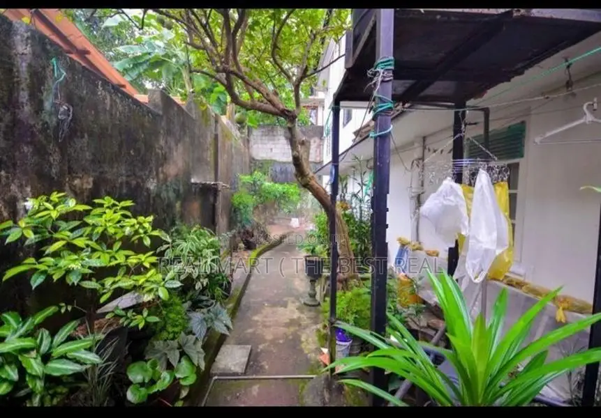 COLOMBO 5 : 8.77P LAND WITH UPSTAIR OLD HOUSE FOR SALE