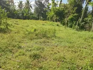 Land for Sale Homagama