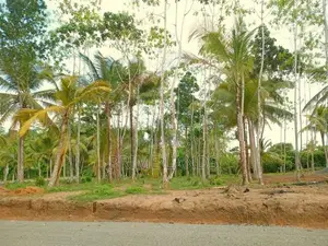 Land for Sale in Ahangama