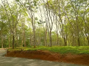 Land for Sale in Ahangama