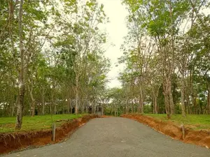 Land for Sale in Ahangama