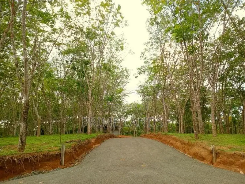 Land for Sale in Ahangama