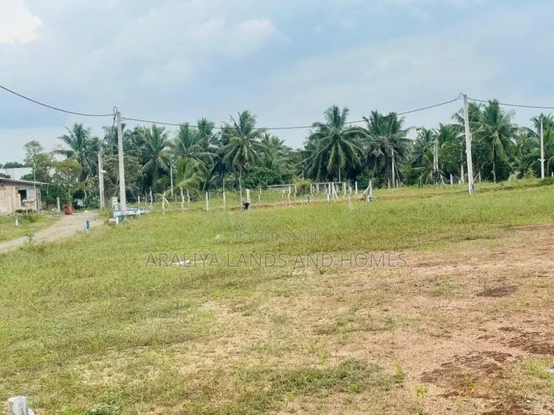 Residential Land For Sale In Thalagala 280 Road
