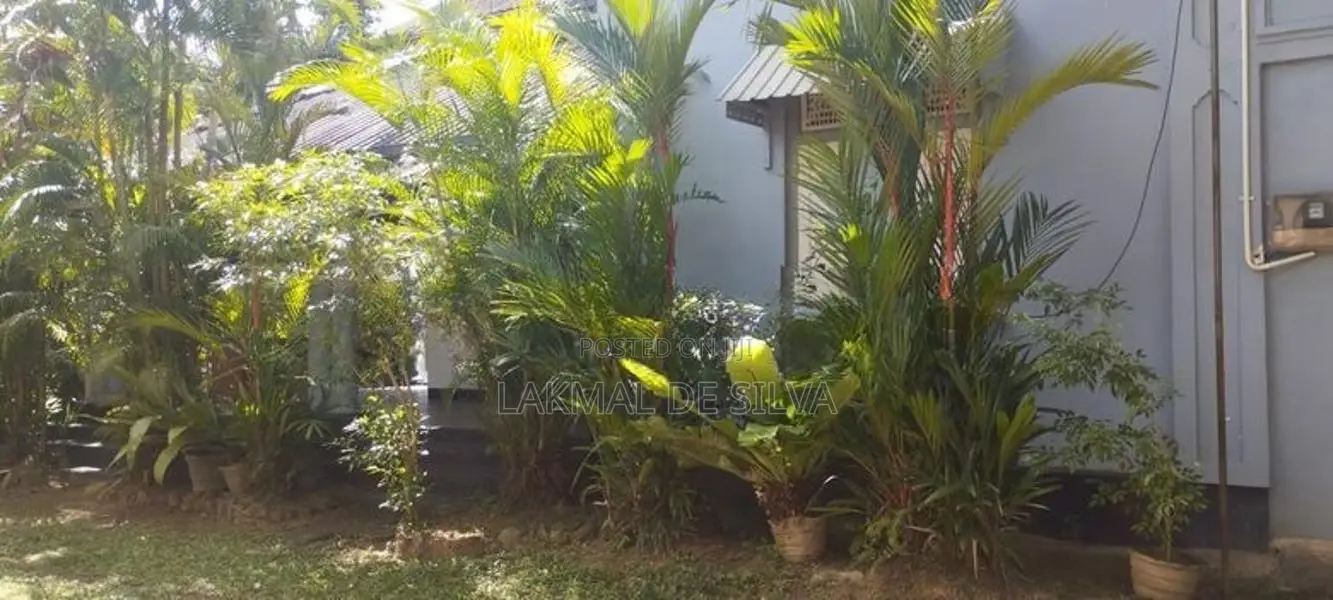 Boarding Room For Rent Girls Battaramulla