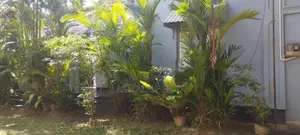 Boarding Room For Rent Girls Battaramulla