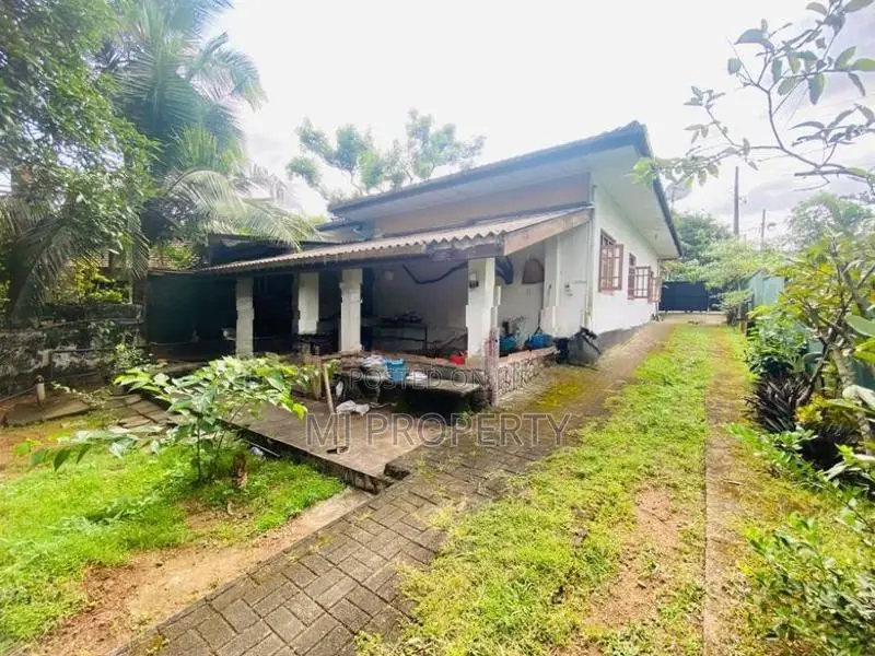( IR-1076)Valuable Single Storey House for Rent in Homagama