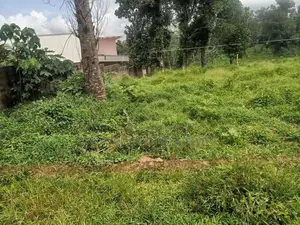 පිළියන්දල ඉඩම්