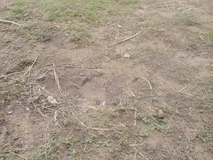 පිළියන්දල ඉඩම්