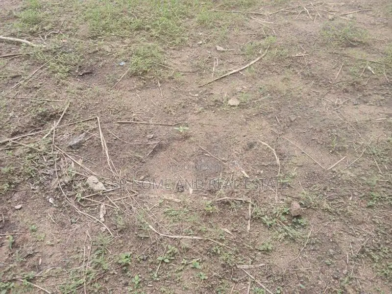 පිළියන්දල ඉඩම්