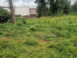 පිළියන්දල ඉඩම්