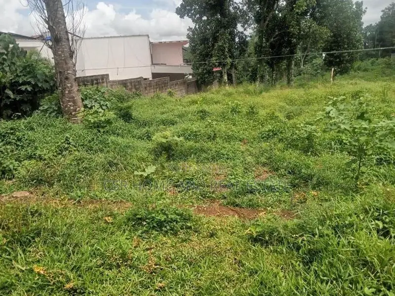පිළියන්දල ඉඩම්