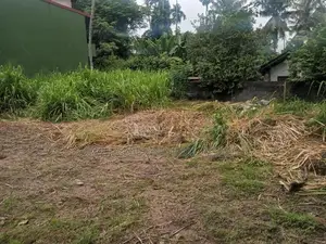 පිළියන්දල ඉඩම්