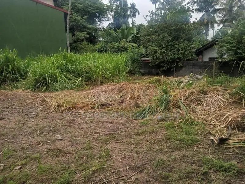 පිළියන්දල ඉඩම්