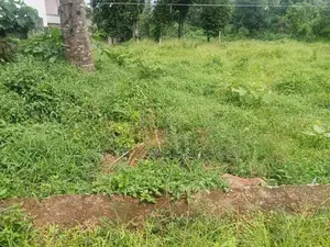 පිළියන්දල ඉඩම්