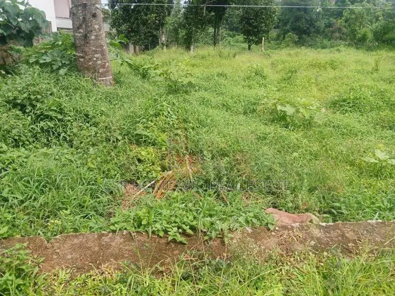 පිළියන්දල ඉඩම්