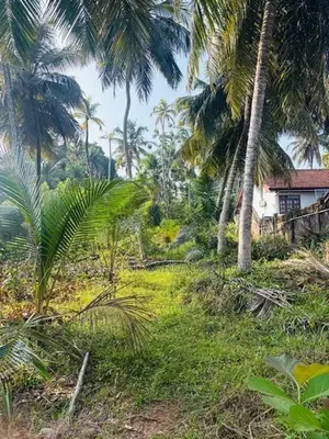 Land for Sale in Matara, Kekanadura