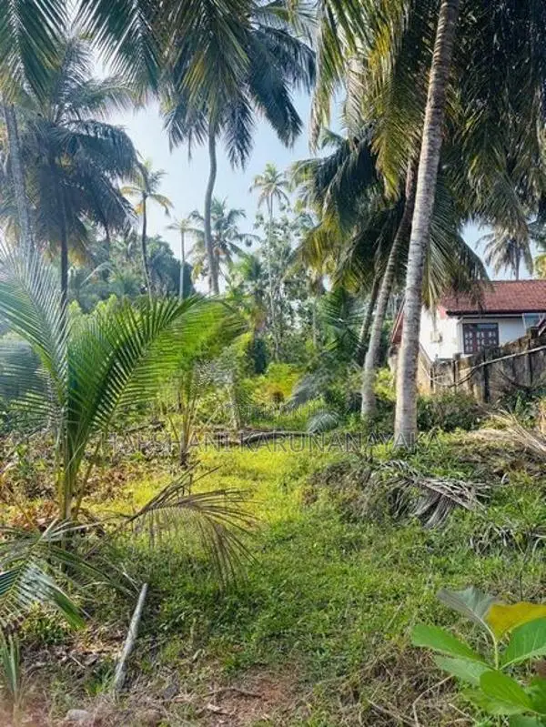 Land for Sale in Matara, Kekanadura