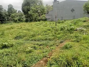පිළියන්දල ඉඩම්