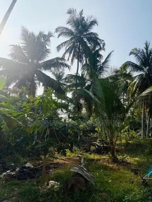 Land for Sale in Matara, Kekanadura