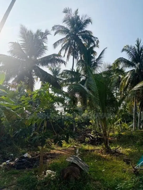 Land for Sale in Matara, Kekanadura