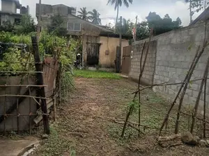 පිළියන්දල ඉඩම්