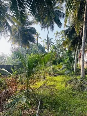 Land for Sale in Matara, Kekanadura
