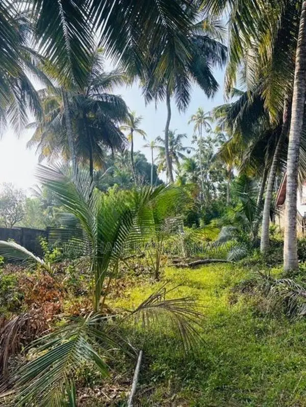 Land for Sale in Matara, Kekanadura