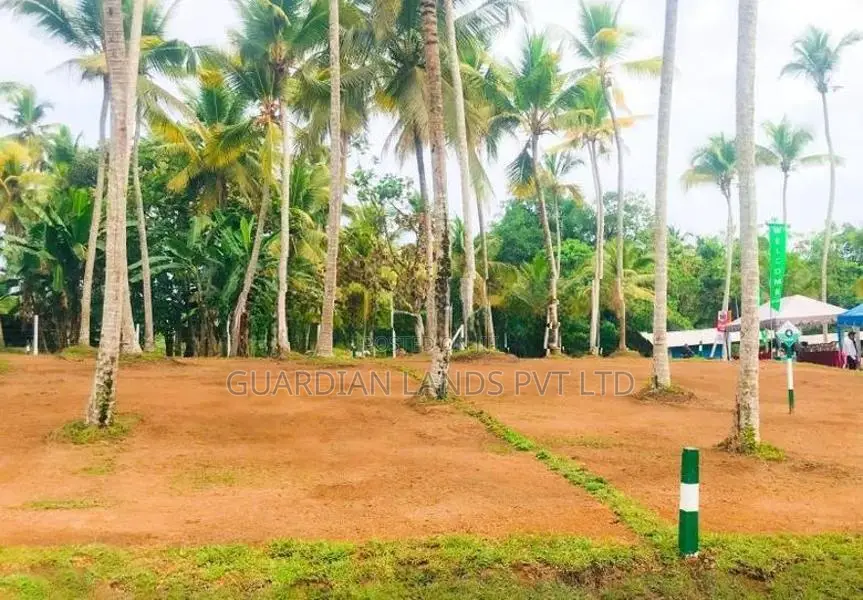 Best Land for Sale in Kubuka