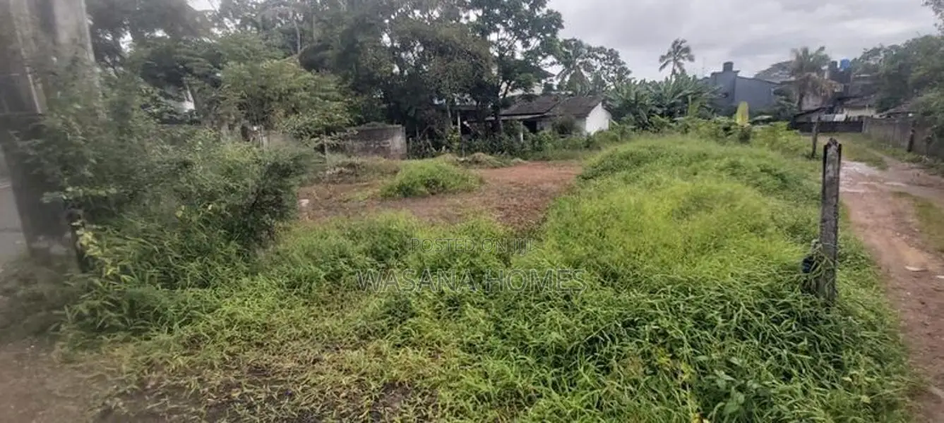 Super Land for Sale Boralesgamuwa