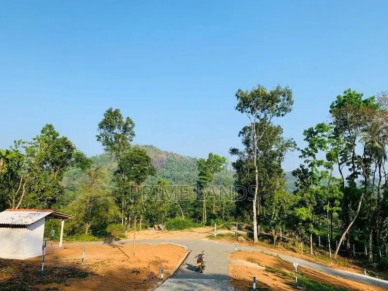 Land for Sale in Neludeniya