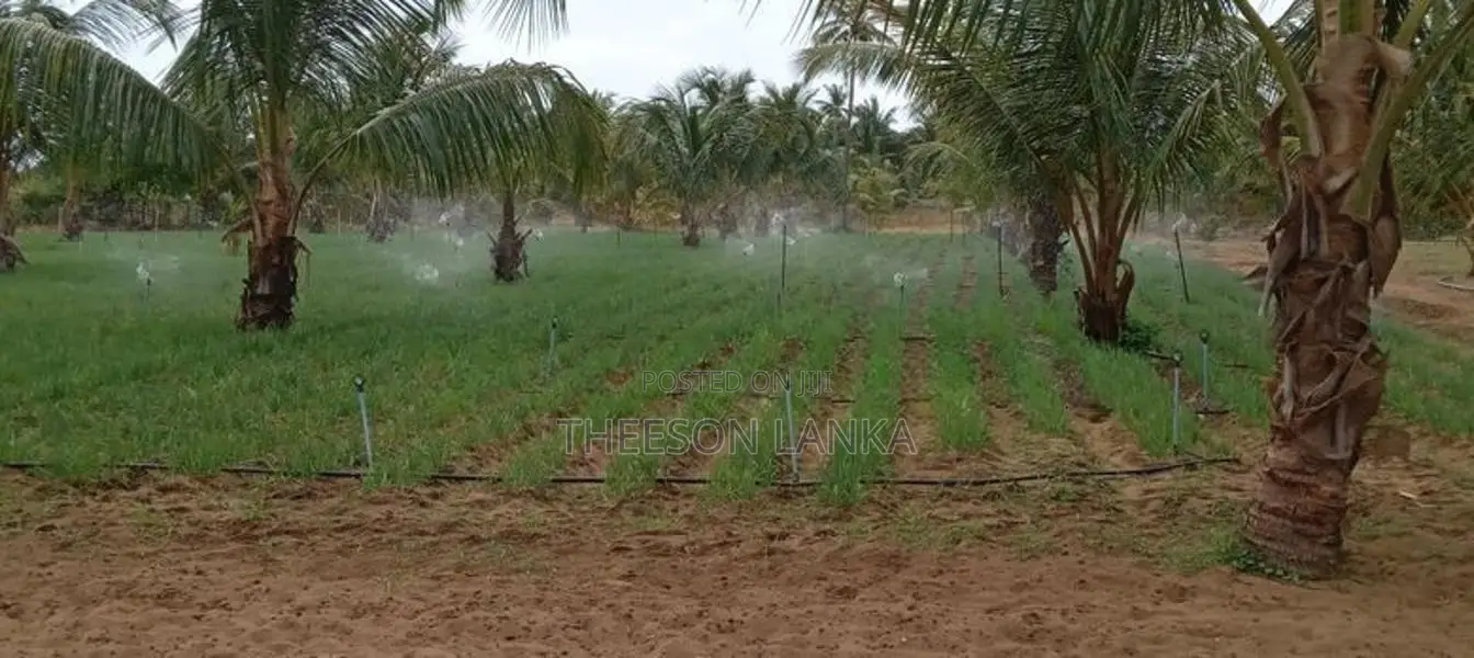 Nilaveli Land for Sale