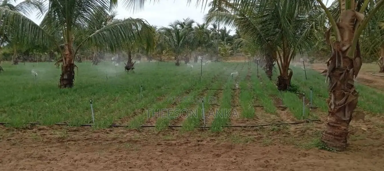 Nilaveli Land for Sale